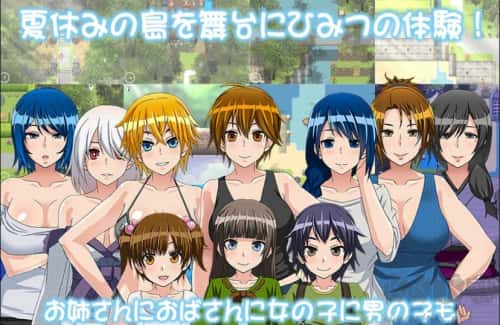 我的秘密暑假2游戏封面